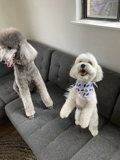 Furbaby In-Home Pet Grooming — photo from their website