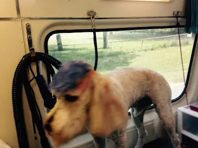 Paws Fur Love Mobile Grooming — photo from their website