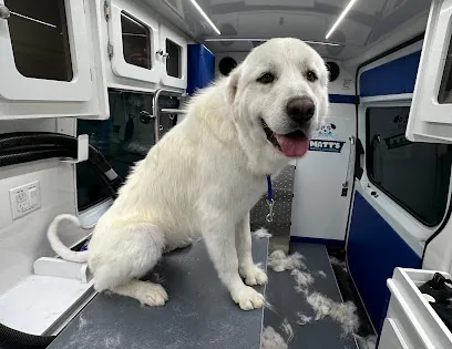 Matt's Mobile Grooming — photo from their website