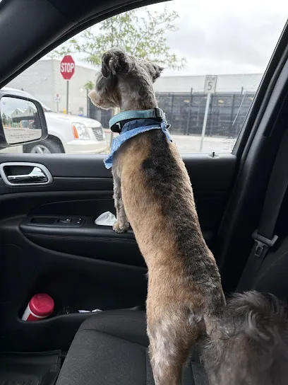 Affordable Mobile Pet Groomer — photo from their website