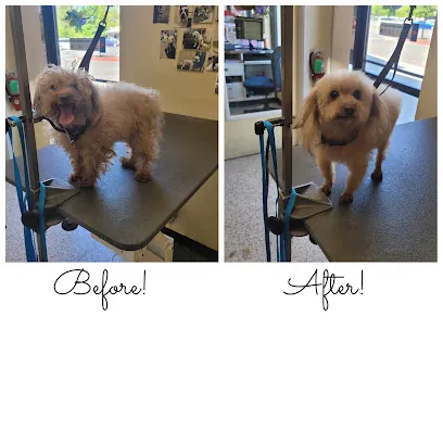 Pawsitive Mobile Grooming LLC — photo from their website