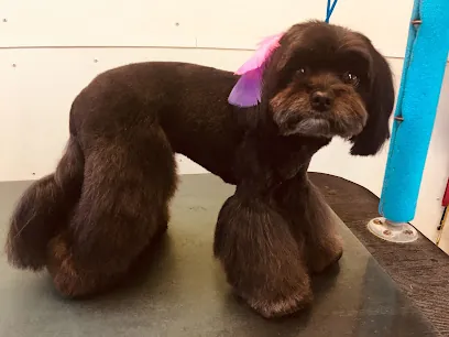 Tubby Time Mobile Grooming — photo from their website