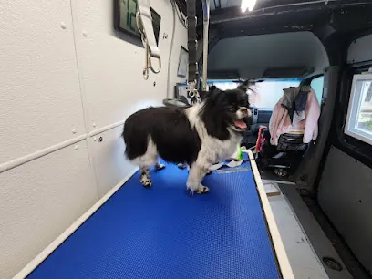 Pampered Paws Mobile Pet Spa — photo from their website