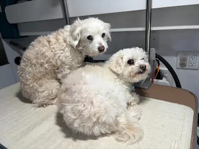 Amanda's Mobile Pet Grooming — photo from their website