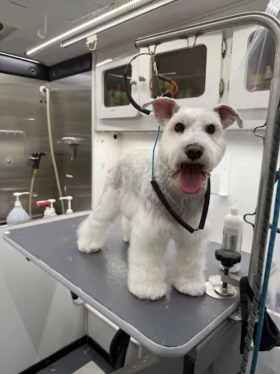 DFW Pooch Clips Mobile Grooming Service — photo from their website