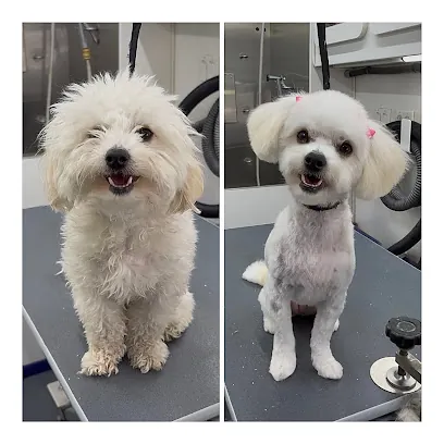 Salas Paw Spa Mobile Dog Grooming — photo from their website