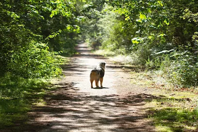 Groomed Sweet Mobile Pet Salon — photo from their website