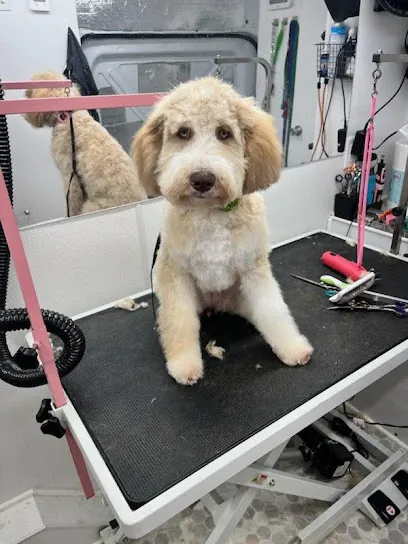 My Dogs Mobile Groomer — photo from their website