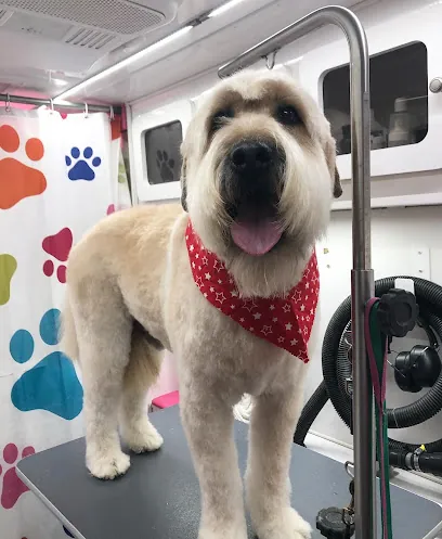 Pup Town Spaw: Mobile Pet Grooming — photo from their website