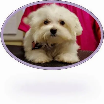 Wet N Precious Paws Mobile Grooming — business logo from Google