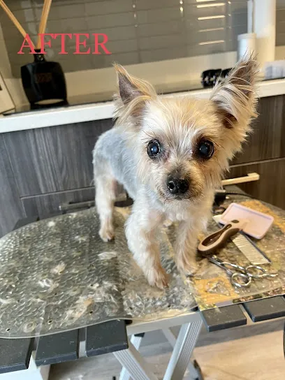 VIPet Grooming at home Mobile Spa — photo from their website