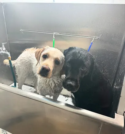 Pup Cutz Mobile Grooming — photo from their website