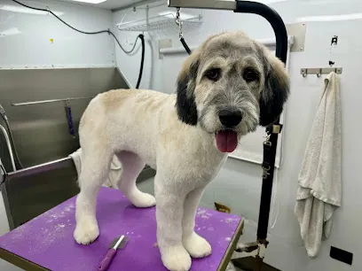 Mark's Mobile Dog Salon — photo from their website
