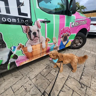 Kathe Miami Mobile Pet Grooming — photo from their website