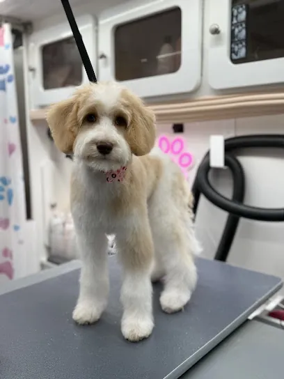 DapperTails Mobile Pet Grooming of Tampa Bay — photo from their website