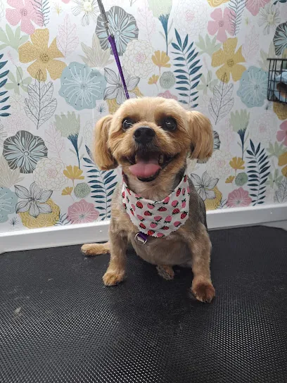 Peaceful Pups Mobile Grooming — photo from their website