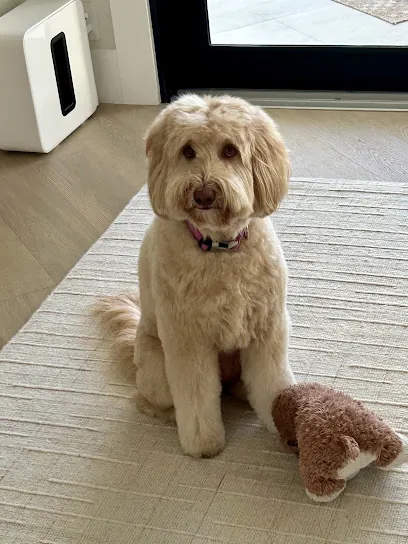Fuzzy Paws Mobile Grooming — photo from their website