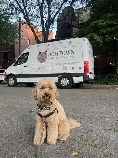 Dogtown Mobile Grooming — photo from their website