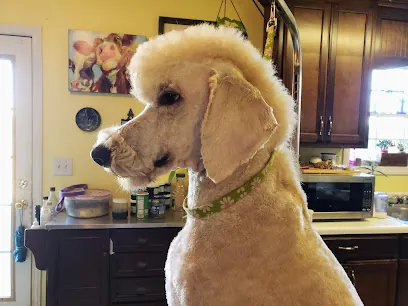 Jenn'sHouseCallGrooming — photo from their website
