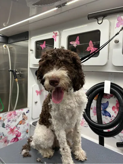 DapperTails Mobile Pet Grooming of Chester County — photo from their website