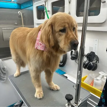 Central Bark Mobile — photo from their website