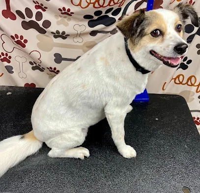 Bath Time mobile pet grooming — photo from their website
