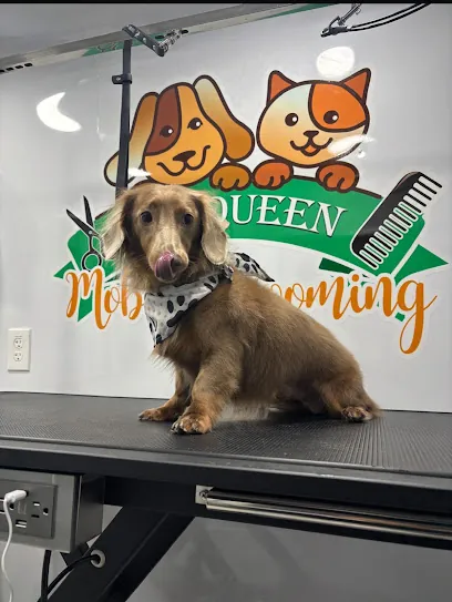 Queen Mobile Grooming — photo from their website