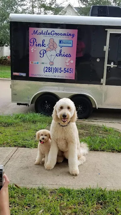 Pink Poochies,Llc: Mobile Dog Groomers Pearland & Friendswood — photo from their website