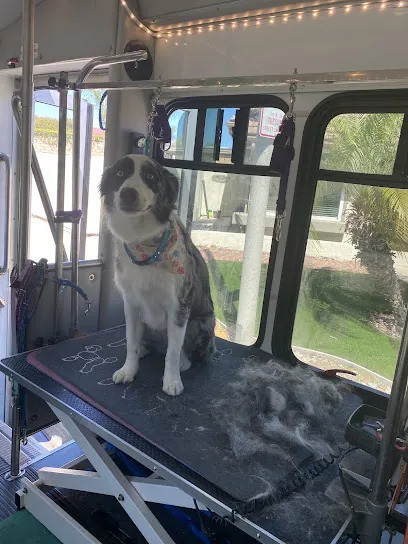 Melissa’s mobile dog grooming — photo from their website