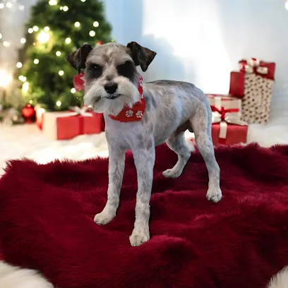 Furtastic Mobile Grooming — photo from their website