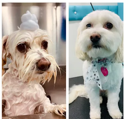 Majestic Mobile Pet Grooming — photo from their website