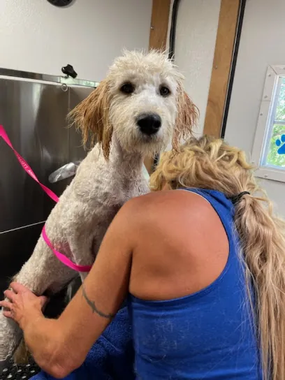 Morgan Mobile Pet Grooming — photo from their website