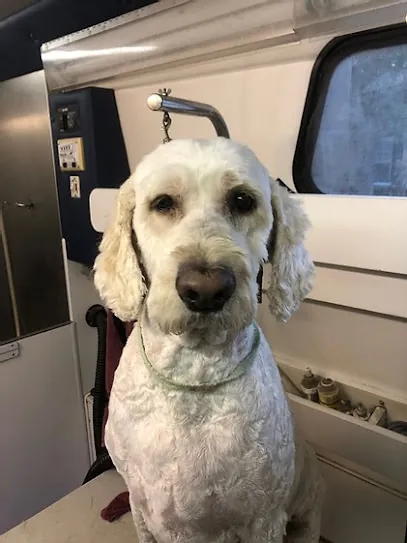 Critters mobile pet spa — photo from their website