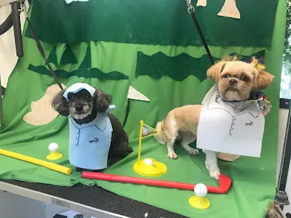 Companion Cut’s Mobile Grooming salon — photo from their website