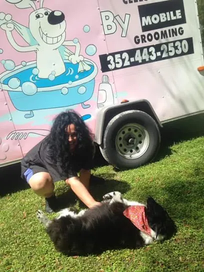 Celeste's Mobile Pet Spa — photo from their website
