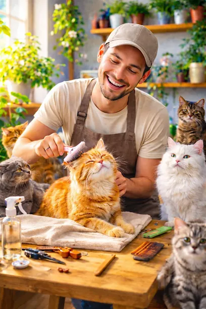 vipet CATMAN MOBILE grooming — photo from their website