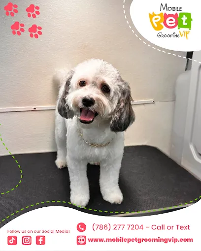 Mobile Pet Grooming VIP at The Beach — photo from their website
