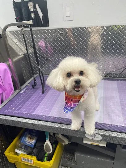 Mobile Pet Grooming Miami — photo from their website