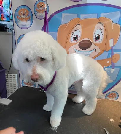 Grace's Mobile Dog Grooming — photo from their website