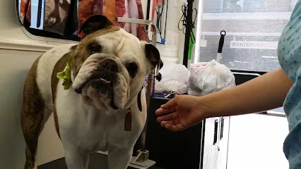 Bathing Beauties Mobile Dog Grooming — photo from their website