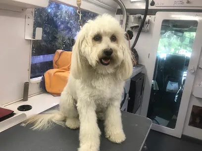 Sage Mobile Grooming — photo from their website