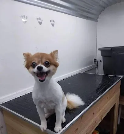 Pretty Paws mobile pet spa — photo from their website