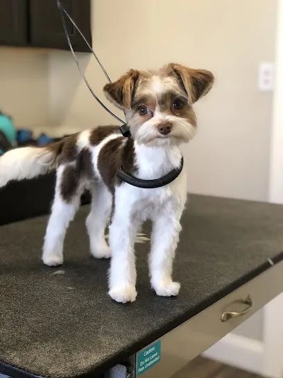 Whiskers and Wags Mobile Pet Spa — photo from their website