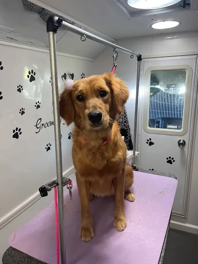 Paws Fur Perfection Mobile Grooming — photo from their website