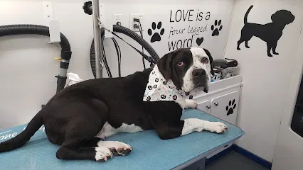 Bows and Bones Mobile Pet Salon — photo from their website