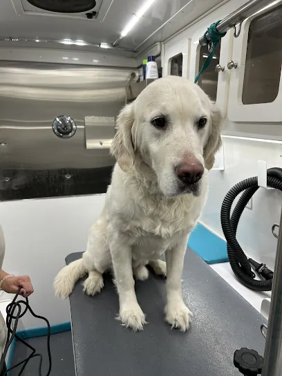 Sudzy Pawz Mobile Grooming — photo from their website