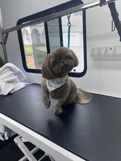 Blissful Bubbles Mobile Grooming LLC — photo from their website