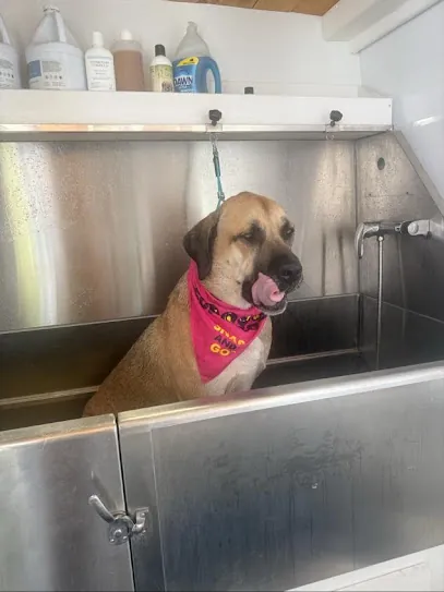 4 Legged Luv and Belly Rubs Mobile Grooming — photo from their website