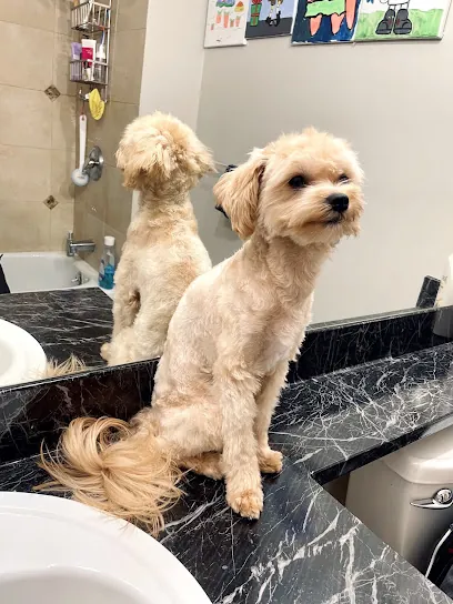 Woof Gang Bakery & Grooming Van Aken — photo from their website