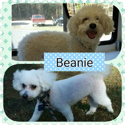 Space Coast Mobile Dog Grooming — photo from their website